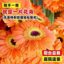 ޾շNذ޾ջNļ׷N̨^pܷN