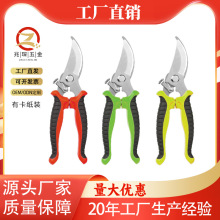 不锈钢园艺剪刀修枝剪树枝剪果园专用摘果神器园林花艺剪工具剪刀