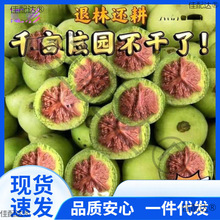 �����Ǫ{���^����y���ñ��Ƥ�������ـ��Ƥ���ܳ�����������]