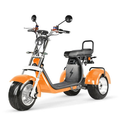 Elektrikli motosikletlər Motorcycle for Adults, Large