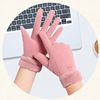 Brand cute warm ski demi-season gloves