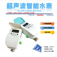 Դ�^���S LoRaWAN ����ˮ�����W�h���ߴa���M����ˮ��