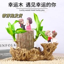 巴西木幸运木盆栽带芽桌面水培绿植办公室内桌面客厅盆栽好养易活