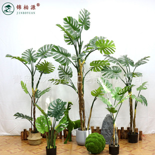 ����Gֲ�������ֲ���쾰�����~�������Կ͏d�҃��b[��������