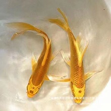 ���~�S���\���~�\�����~����~���B�ͻ��\�a��ˮ�^�p�~���l