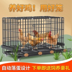 鶏小屋大型特大飼育ケージ自動糞尿清掃鶏小屋家庭用鶏小屋多層鶏小屋アヒル小屋犬小屋