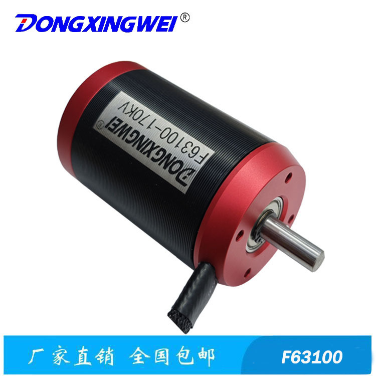 F63100 High-Power Electric Scooter Brushless Motor with Hall Sensor Hub Motor