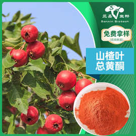 山楂叶总黄酮5%-80%植物提取物粉flavonoids水溶性黄酮类化合物