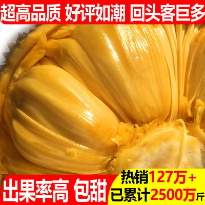 jackfruit Deliver goods Hainan fresh fruit Jackfruit Entire Manufactor Manufactor Direct selling Independent