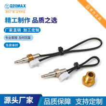 热卖智能马桶子弹头 ntc温度探头100K NTC电热水壶 温度传感器10K