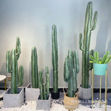 ������������������ֲ��ɳĮϵ�쾰�̈������[�O�҃ȼ��辰�����