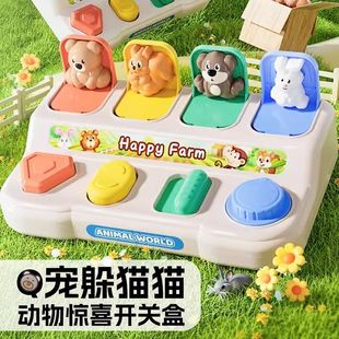 Children's Peek-A-Boo Mechanism Box Button Pops up Cause and Effect Toys Baby Boys and Girls Early Education Toys