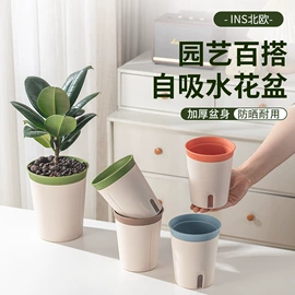 园艺工具;马桶刷;清洁球/刷