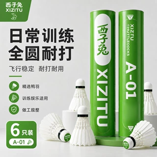 6只装鹚鸪鸭毛羽毛球耐打训练娱乐比赛级用球成人学生批发羽毛球