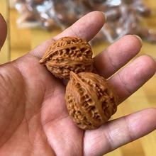 野生京八棱秋子文玩核桃女生指尖小秋子盘完手捻四座楼白狮子E18