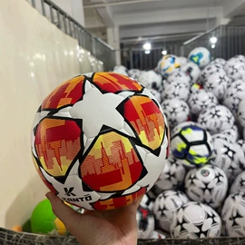 足球;排球;球类