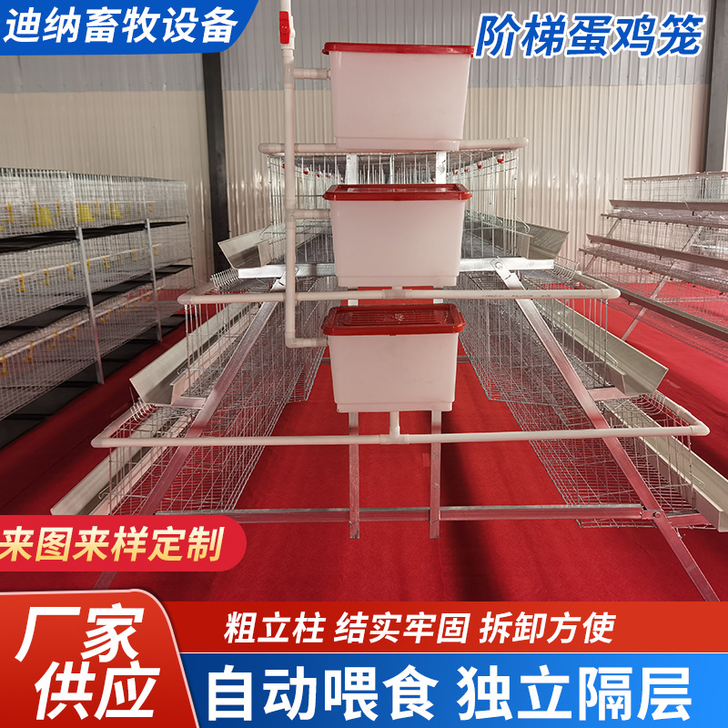 Jaula multicapa de cría automática completa de gallinas ponedoras de huevo rodante tipo escalón automático de doble lado de jaula doméstica de gallinas