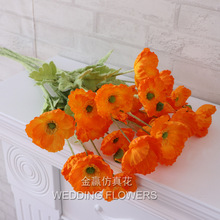 ��c�����ڻ� 4�^�����˽���ֲë���ڻ��b�����ܛE18