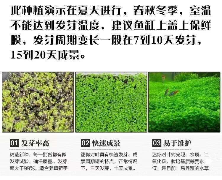 287da586-6507-4957-a1f7-eaabea47c4d8.jpe