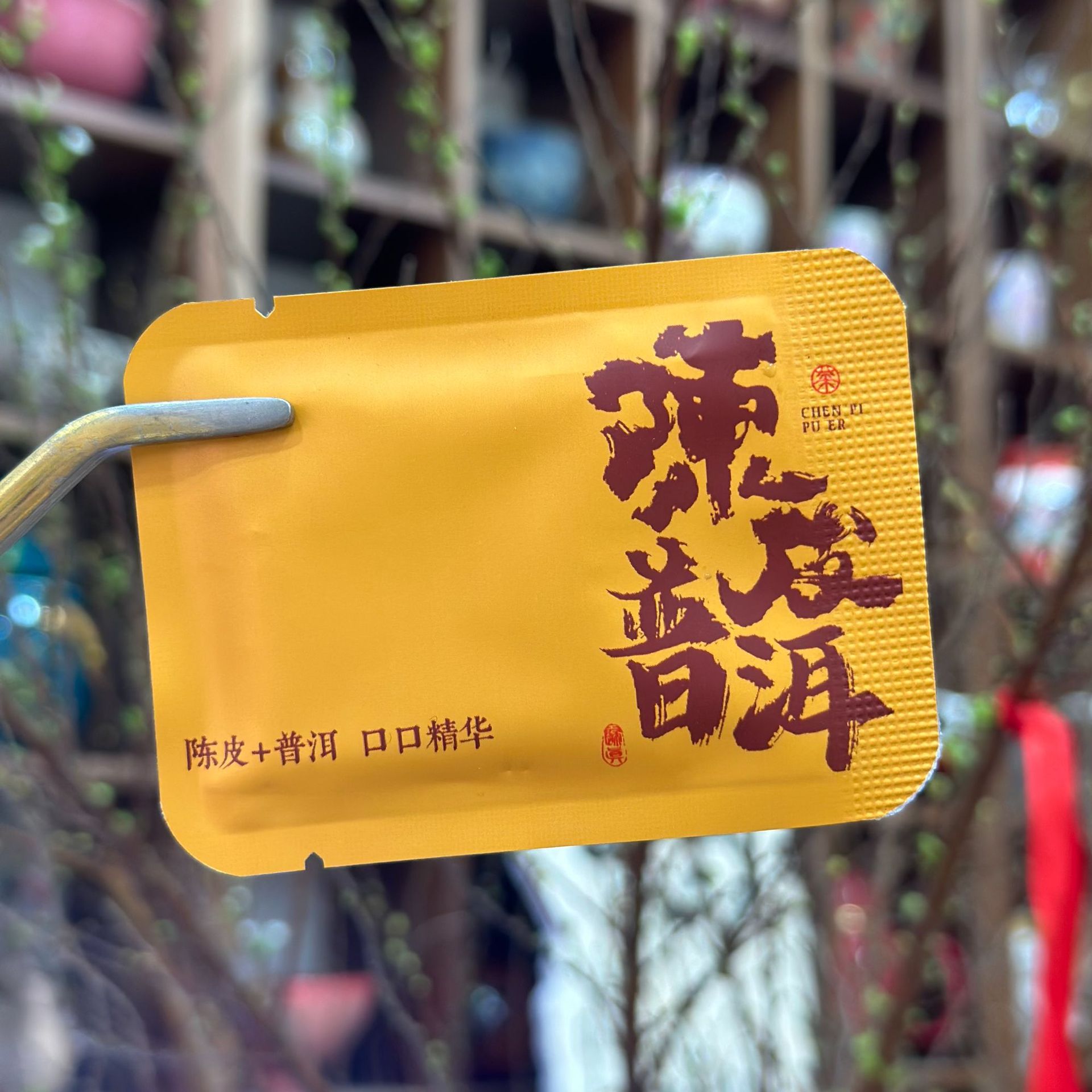 微信图片_20250108182654