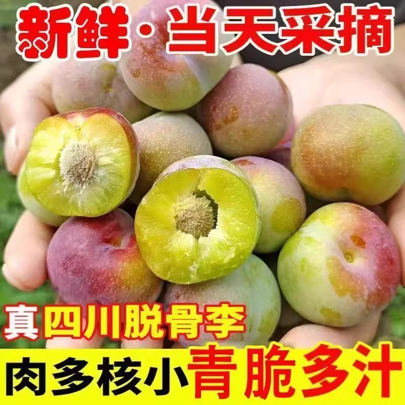 正宗四川青脆红脱骨李子新鲜水果当季整箱巫山甜汶川孕妇李子包邮