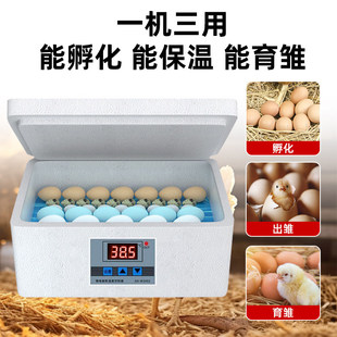 ���������С�ͷ�С�u���Z�J���u�g���Ԅӿ؜ؿ���ˮ��������