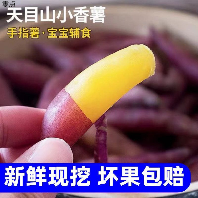 天目山小香薯板栗红薯批发地瓜新鲜粉糯山芋甜薯黄心农家现挖整箱