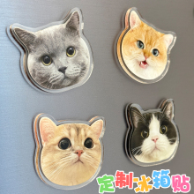 亚克力冰箱贴宝宝照片宠物小猫咪狗狗立体高级感治愈系磁铁贴DIY