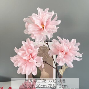 ����3�^���m�� �ٻ� ��c���Ż���Y�ø߼��мٻ����컨�S�����l