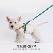 小狗狗牵引绳背心式狗绳遛狗链子中小型犬胸背带泰迪法斗轻便不勒