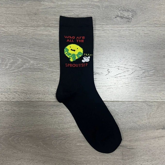 Весенние, осенние и зимние носки для скейтборда Европейские и американские уличные высокие носки Мужские и женские модные носки Уличные европейские и американские модные жаккардовые носки с высоким берцем