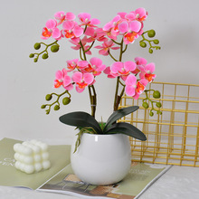 m滨bԽ辰Ƶٻ͏dbٻ[l