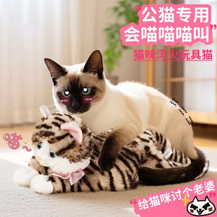 ��؈�l����߽␞�԰�H�����ż�a������˯��ĸ؈�l�����l����