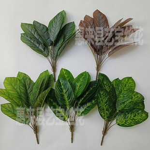 12^˽ G}~ ֲ ָzƬ~ ҃ȷGֲ