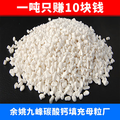 射出成形マスターバッチPE/PPプラスチック充填マスターバッチ浙江余姚九峰炭酸カルシウム充填マスターバッチ工場