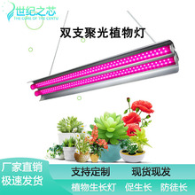 ���R�dt5����ֲ���a������ﻨ��ledֲ������������L��ȫ���V