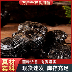 山東の現物の黒霊芝を卸売りします。