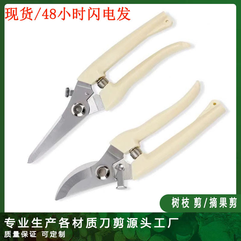 新款不锈钢园艺果枝果子剪摘果剪花园树枝剪枝头工具剪园林修枝剪