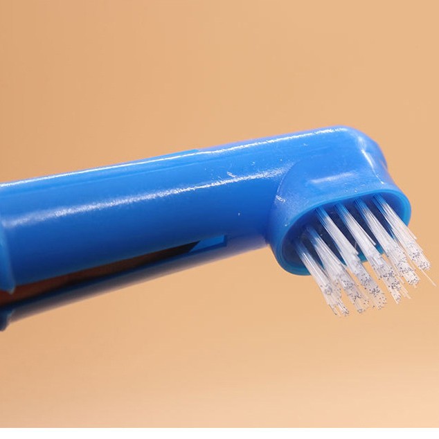 Hygienic double-sided toothbrush set 5