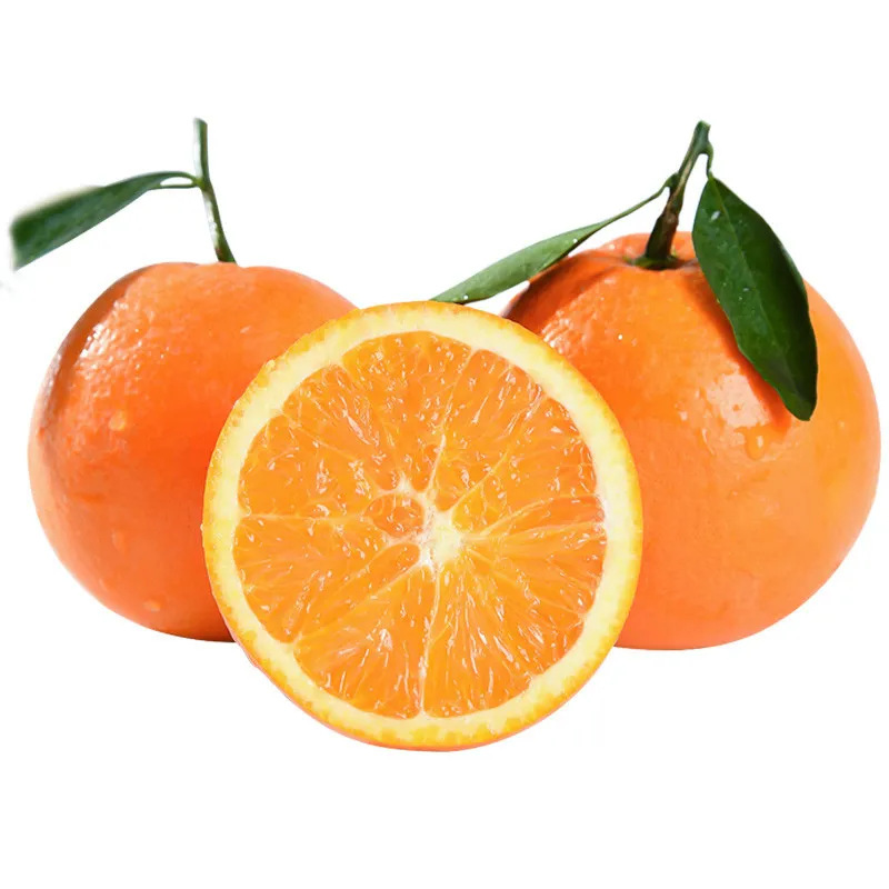 High Mountain Navel Oranges Direct from the Source, Fresh Oranges with Free Shipping, Fresh Fruit Oranges, Navel Oranges, One-Piece Drop Shipping