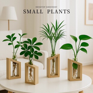 �lؔ��ˮ��ֲ��W�t�G�}��ؾ������k��������Gֲˮ�BС���Ԕ[��