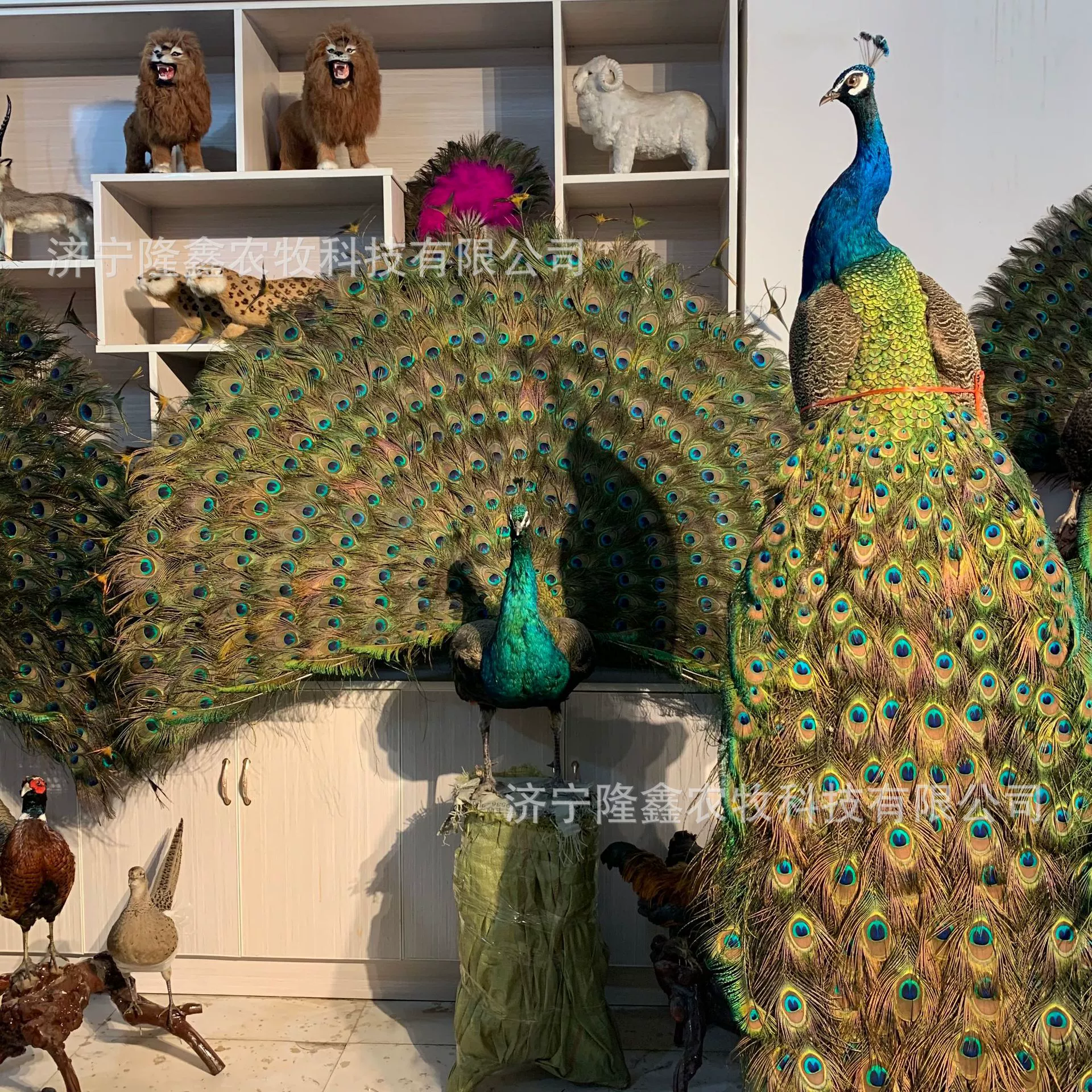 Павлин образец дома гостиная офис на полу украшение отеля декоративные изделия ручной работы отель подарочные украшения