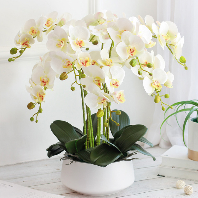 Phalaenopsis flor artificial sensación avanzada orquídea pantalla flor sala de estar mesa de comedor entrada decoración de la boda decoración floral