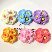 �¿��ɫ���仨���NƬ����DIY�b��֙C��Ь�������N�l��������