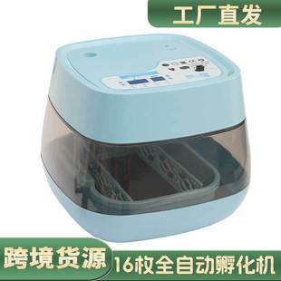 ����ؐ��16ö�����Cȫ�ԄӼ�����С�u���ZС�ͷ������B��������