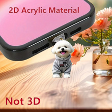 ̩���\��ë�� �羳��������֙C���m�������Type-C