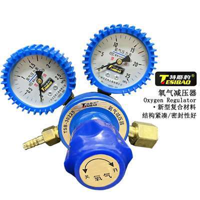 特斯豹混合气表体全铜减压器压力表稳压器调压阀压力仪表抗压
