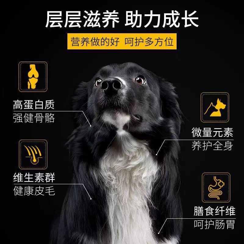 Comida para perros con sabor a carne de res