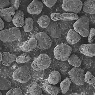 ����ʯī΢�� ������T������Ȼʯīԭ����x��늳��²���