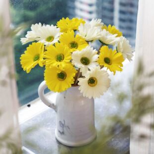PU���޾շ��ɻ�INS�L���滨�S�ҼҾ��b羳���l�ٻ���c��ˇƷ
